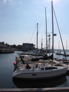 pictou marina